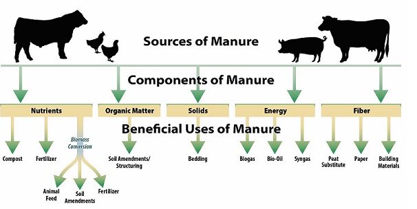 What & Why of Fertilizers, Manure, Compost 