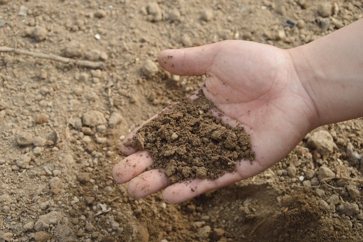 What & Why of Fertilizers, Manure, Compost